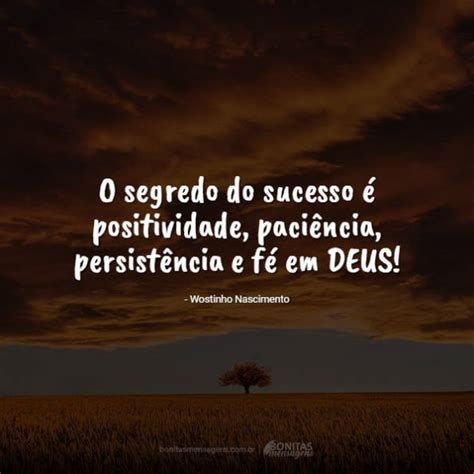 O Segredo Do Sucesso Positividade Paci Ncia Persist Ncia E F Em