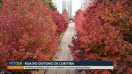 Rua do Outono saiba onde fica a rua de Curitiba que virou atração