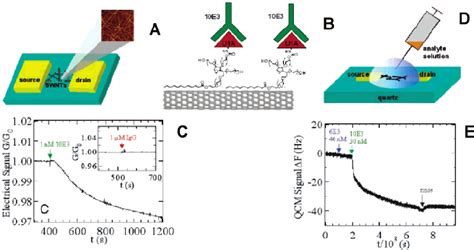 Schematic Representation Of A Cnt Fet Immunosensor For The Detection Of