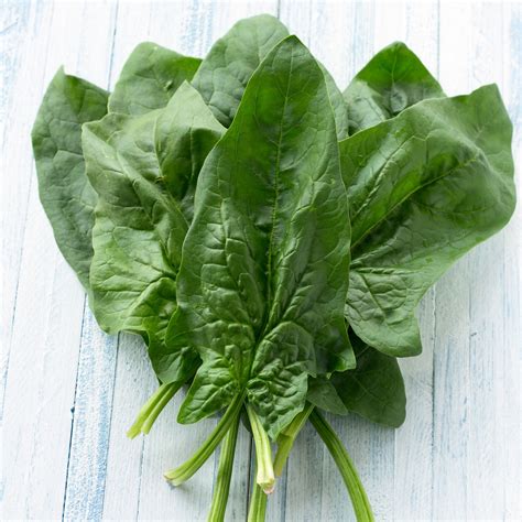 Spinach Seeds Viroflay Vegetable Seeds In Packets And Bulk Eden