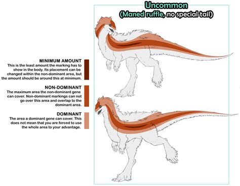 Skunk Anatomy Diagram