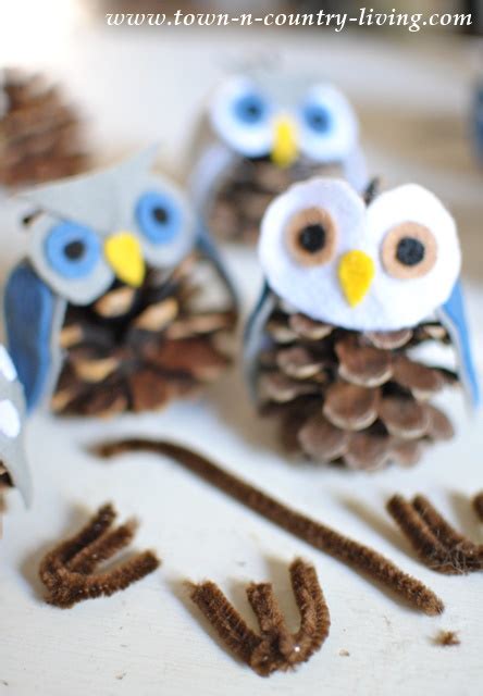 Pine Cone Owls - Town & Country Living