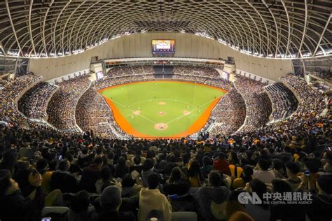 大巨蛋中職熱身賽2戰預售破萬 加開內野上層下午5時開賣 運動 中央社 Cna