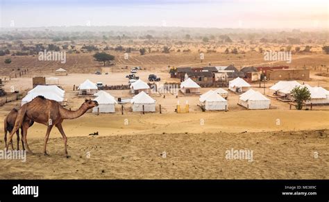 Thar desert Jaisalmer Rajasthan with view of tents and camels used for ...