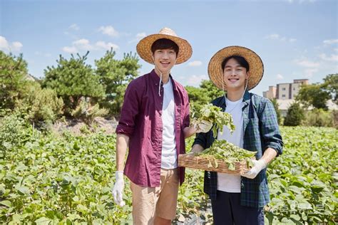 청년농업인시리즈① 청년농업인 영농정착 무엇이 필요한가 농축유통신문