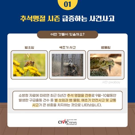 추석 벌초하다 벌 쏘임 사고 급증주의사항과 대처 방법 Civicnews시빅뉴스