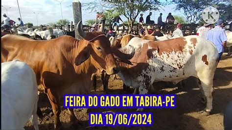 Feira Do Gado De Tabira Pe Dia Pre O Dos Juntas E Boi De