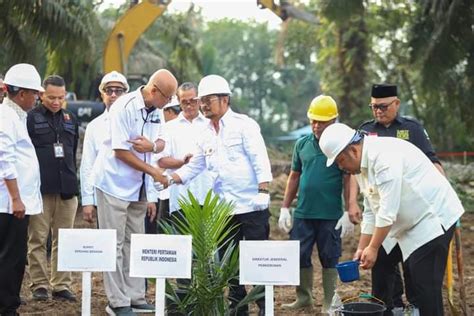 Mentan SYL Dorong Peremajaan Sawit Dan Perkebunan Partisipatif Posmo