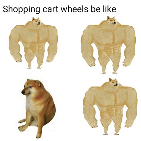 strong dog cool : r/memes