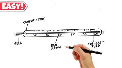 Thermometer Drawing Easy Thermometer Diagram Clinical Thermometer