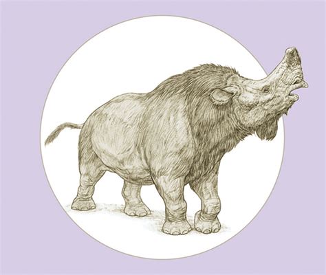 Embolotherium on Behance