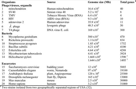 Genome Size Gene Numbers Of Some Prokaryotes And Eukaryotes Download