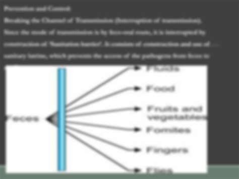 Solution Fly Borne Diseases Lecture Ppt Studypool