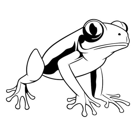 Premium Vector Cartoon Green Frog Isolated On White Background Vector