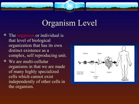 Levels Of Biological Organization Ppt