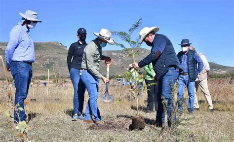 Llama David Monreal A Implementar Una Campa A Permanente De