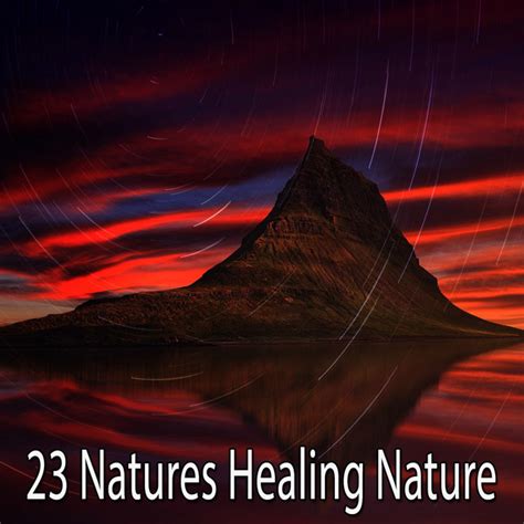 Natures Healing Nature Album By Sounds Of Nature Relaxation Spotify