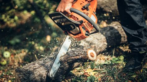 Best Chainsaws Top Ten Reviews