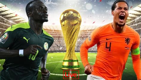 Qatar Fifa World Cup Senegal Vs Netherlands Live Match 2022 App Web