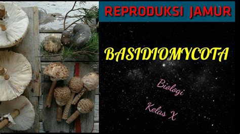 Reproduksi Jamur 1 Divisi Basidiomycota Fungi Bagian 5 Youtube