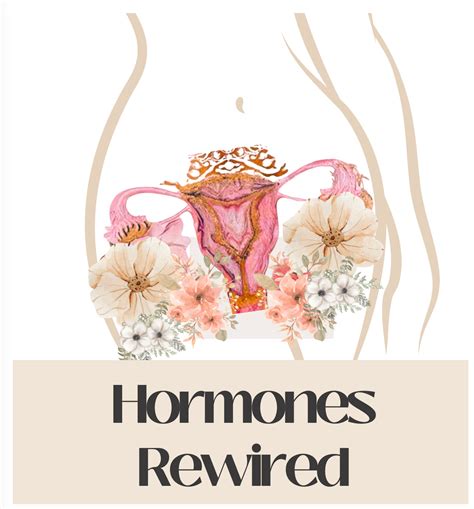 Hormones Rewired A Comprehensive Guide To Balancing Your Hormones