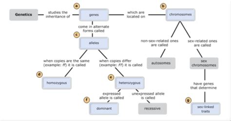 Biology Exam Study Guide Ch Flashcards Quizlet