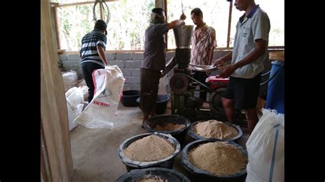 Bahan Baku Dan Proses Pembuatan Pelet Pakan Ikan Lele Youtube