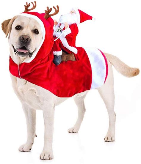 Dog Christmas Costume | Holiday Pet Costumes on Amazon | POPSUGAR Pets ...