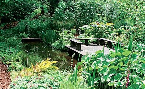 Welcome to gardening designs: The Bog Garden