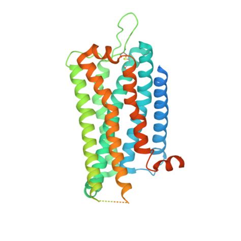 Gene P Protein Cckbr Overview Cansar Ai