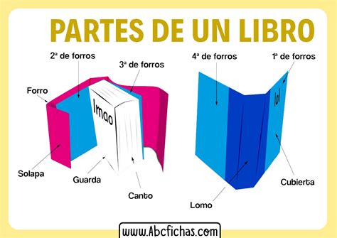 Las Partes De Un Libro Para Ni Os De Primaria Explorando Sus Elementos