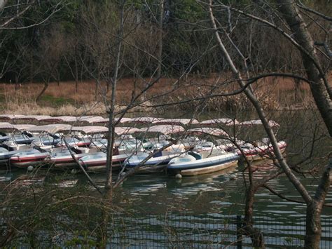 Naviguer sans contrainte louer un bateau sans permis à Aix les Bains