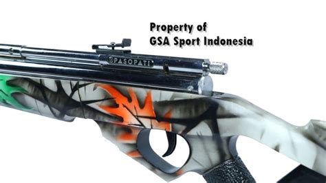 Senapan Sharp Pasopati Gamo Camoflase Jual Senapan Angin Id