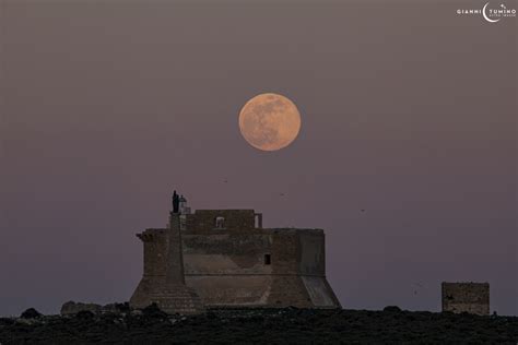 La Luna Piena Del Lupo Illumina Il Cielo Stanotte Il Primo