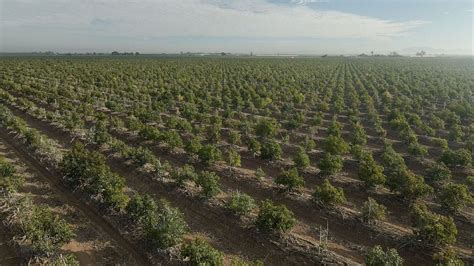 Agricultura impulsa la reconversión de cultivos en Sonora 88 9 Noticias