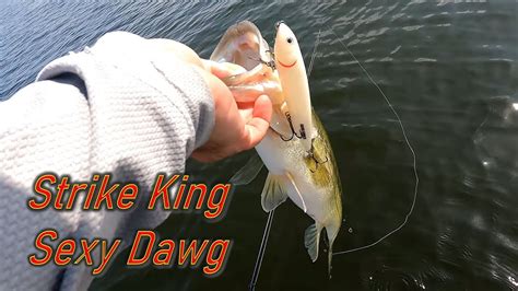 Strike King Sexy Dawg In Action YouTube