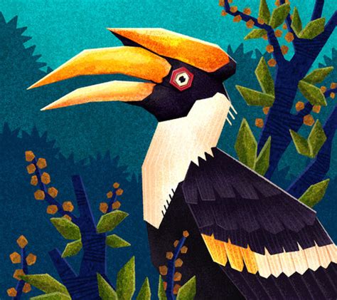 ROHAN DAHOTRE Wildlife Illustrator PORTFOLIO