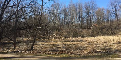 Garfield Park Pondstream At Cleveland Metroparks Chronolog