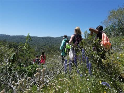 Hiking to Striped Rock with the Sierra Foothill Conservancy | Sierra ...