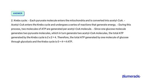 SOLVED Calculate The ATP Generated By One Molecule Of Glucose That