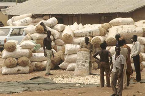 Dry Cassava Chips In Bags Peeled And Dry Cassava Roots La… Flickr