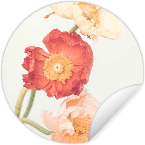 Wallcircle Muurstickers Behangcirkel Bloemen Rood Natuur