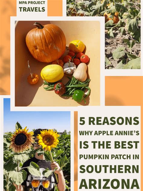 Reasons Why Apple Annies Is The Best Pumpkin Patch In Southern