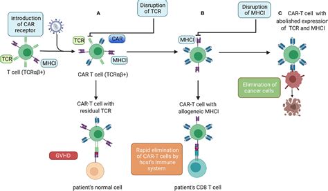 Frontiers Strategies To Circumvent The Side Effects Of Immunotherapy