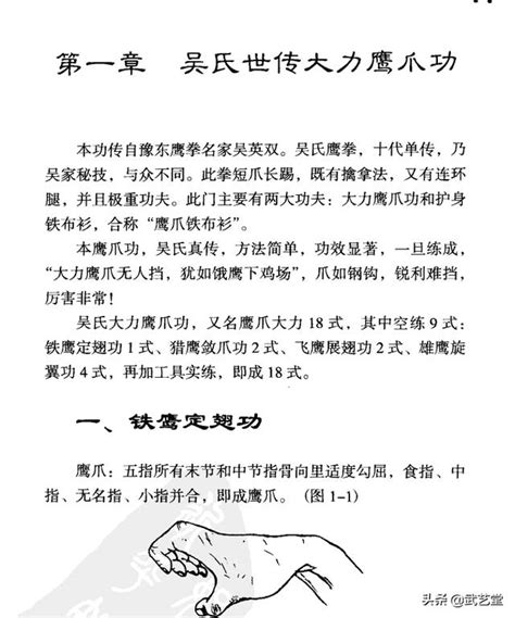 吴氏世传大力鹰爪功，第一节铁鹰定翅功，爪如钢钩，锐利难挡 每日头条