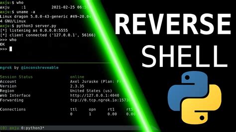 Python Reverse Shell Windows The Correct Answer Barkmanoil