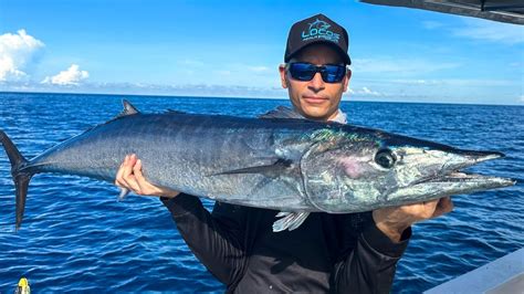 Técnicas de Pesca con Carnada Viva Wahoo Barracudas Pargos YouTube