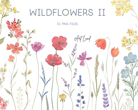 Aquarell Wildblumen Clipart Botanische Blumen Wildblumen Etsy