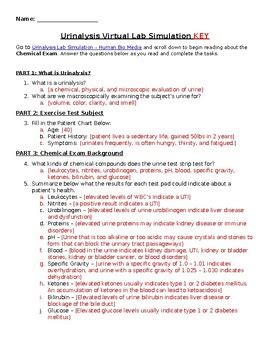 Urinalysis Virtual Lab Simulation And Worksheet W KEY By Life Science