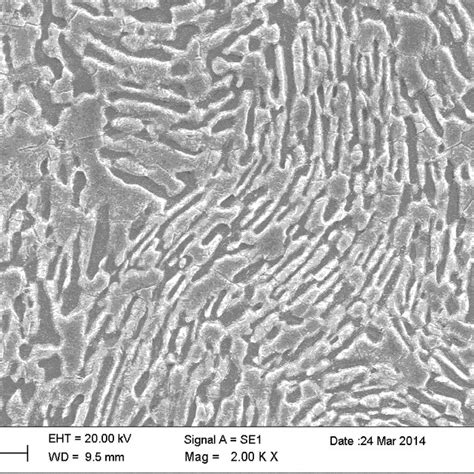 Sem Of Specimen Subjected To A Solution Treated At 900°c 30 Minutes W